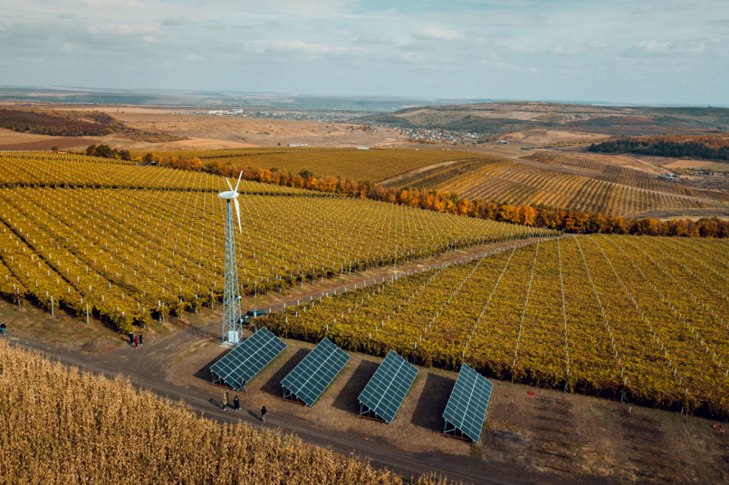 Moldova a descoperit o nouă sursă de energie regenerabilă - cartofii!