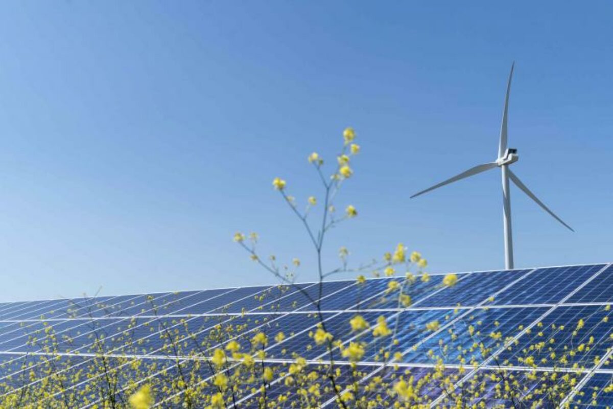 România devine lider european în producția de energie regenerabilă
